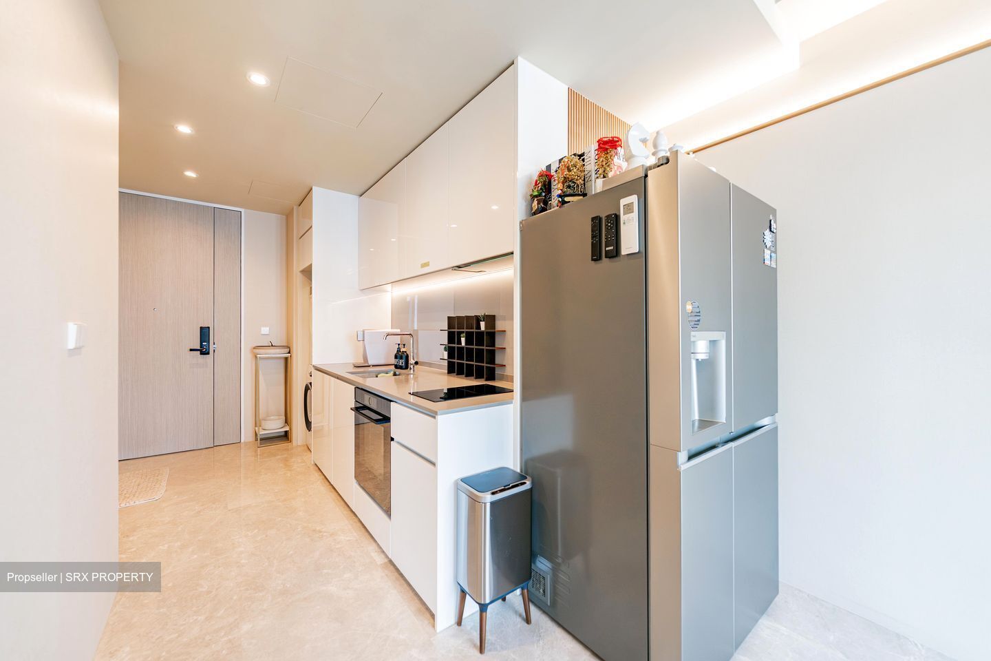 Amber Park (D15), Condominium #499104091